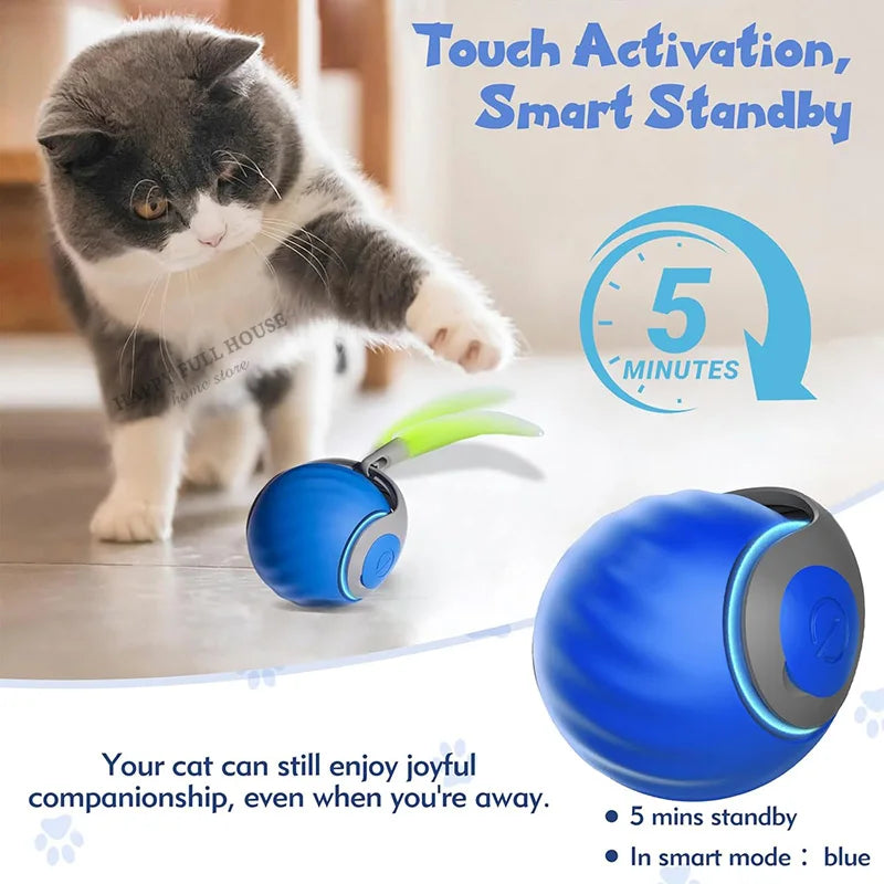Speedy Tail 2.0™ Cat Toy