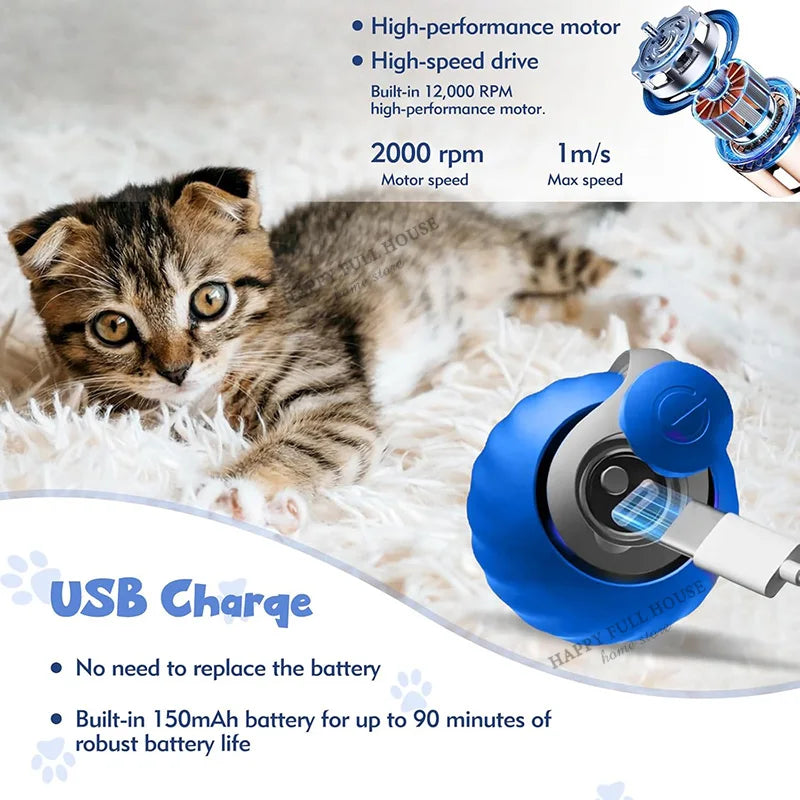 Speedy Tail 2.0™ Cat Toy