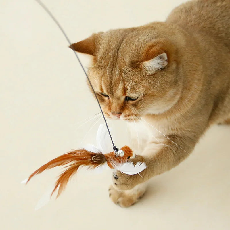 Handfree Bird/Feather Cat Wand