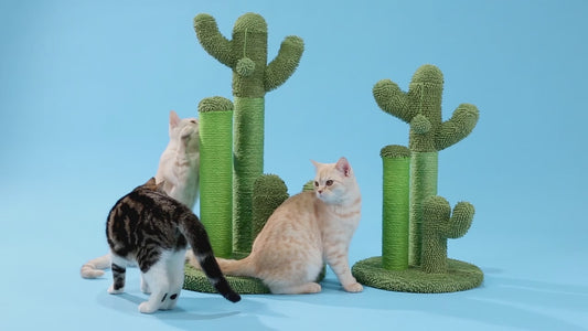 Cactus Cat Scratcher